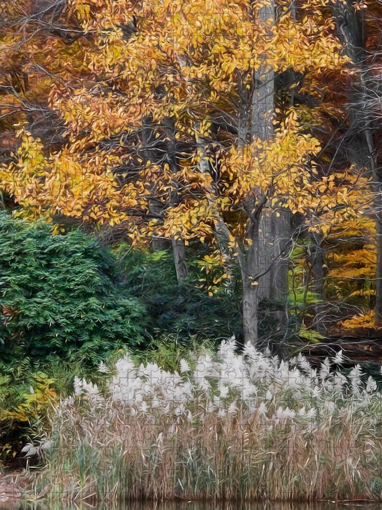 Holmdel Park Jigsaw Puzzle featuring the photograph Autumn Contrasts On The Lake by Gary Slawsky
