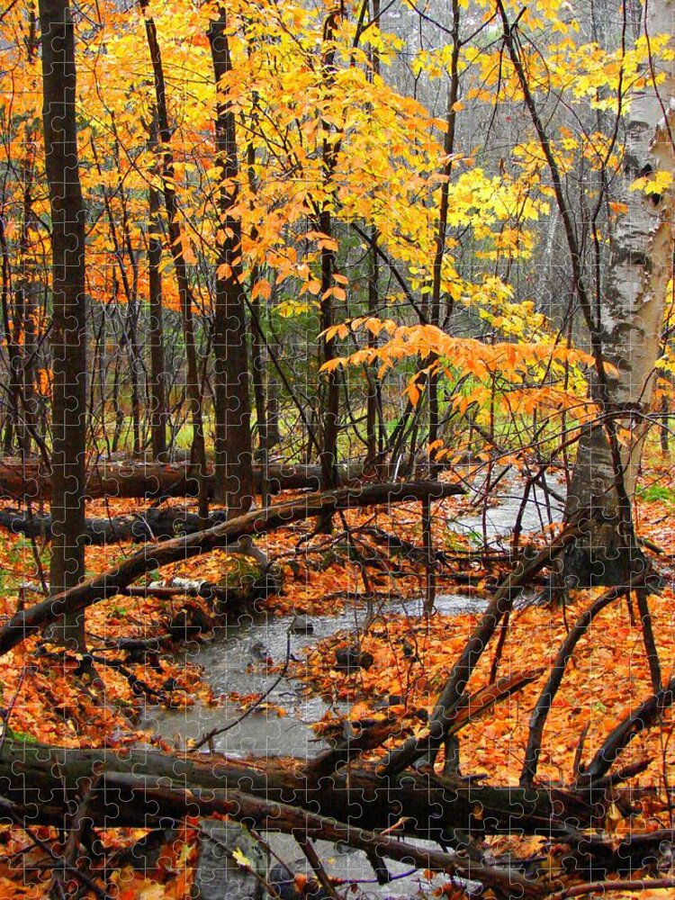 Autumn Jigsaw Puzzle featuring the photograph Autumn Creek in the Rain by Rodney Lee Williams