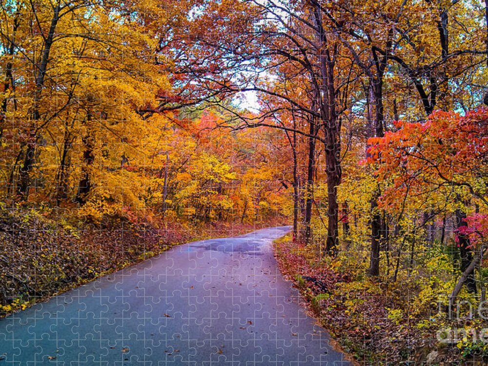 Autumn Colors Jigsaw Puzzle featuring the photograph Autumn Drive by Peggy Franz