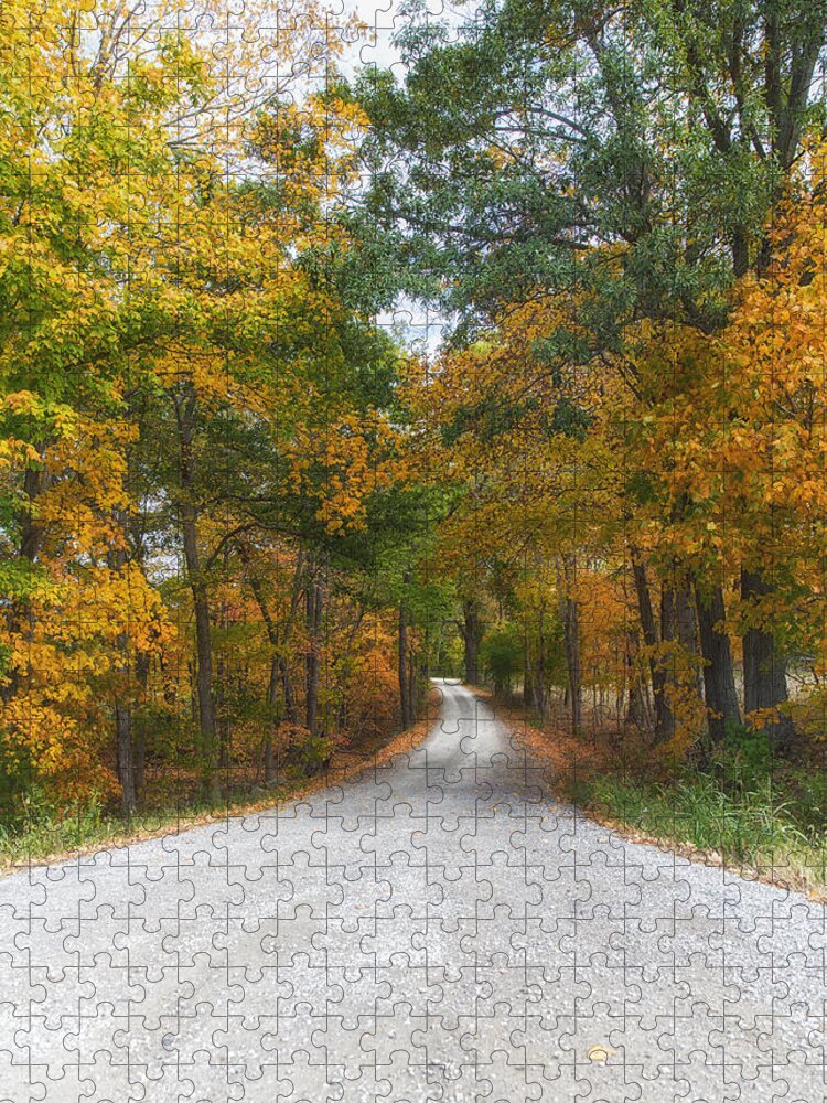 Autumn Trees Jigsaw Puzzle featuring the photograph Autumn Entrance by Bill and Linda Tiepelman