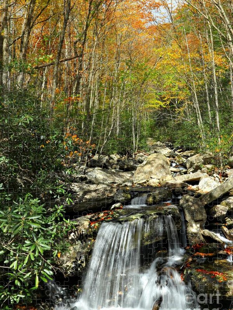 North Carolina Jigsaw Puzzle featuring the photograph Autumn Falls by Benanne Stiens