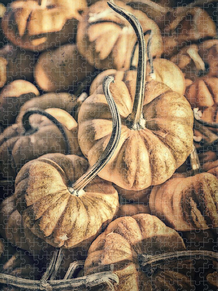 Pumpkins Jigsaw Puzzle featuring the photograph Autumn Grunge by Caitlyn Grasso