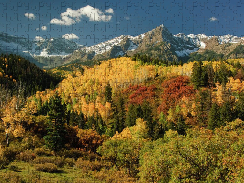 Scenics Jigsaw Puzzle featuring the photograph Autumn In Colorado by Robin Wilson Photography