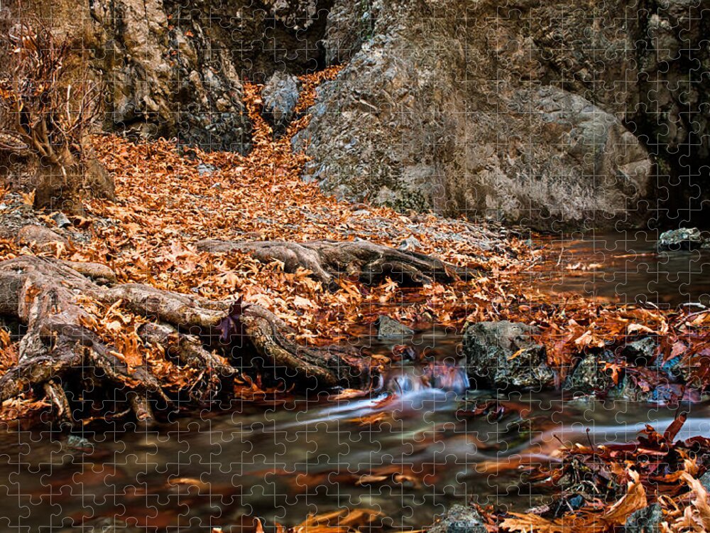 Autumn Jigsaw Puzzle featuring the photograph Autumn landscape by Michalakis Ppalis