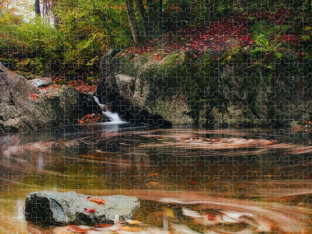 Autumn Jigsaw Puzzle featuring the photograph Autumn Leaf Trails by John Vose