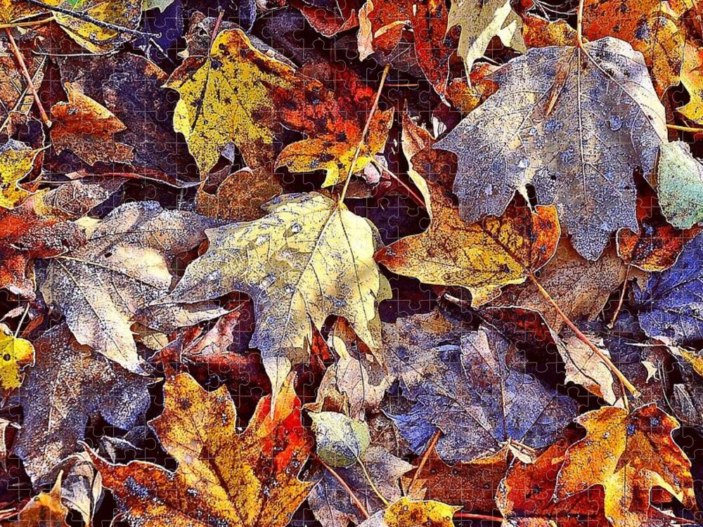 Autumn Jigsaw Puzzle featuring the photograph Autumn Leaves with Frost by Phyllis Meinke