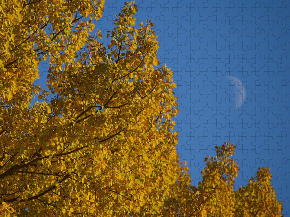 Moon Jigsaw Puzzle featuring the photograph Autumn Moonrise by Owen Weber