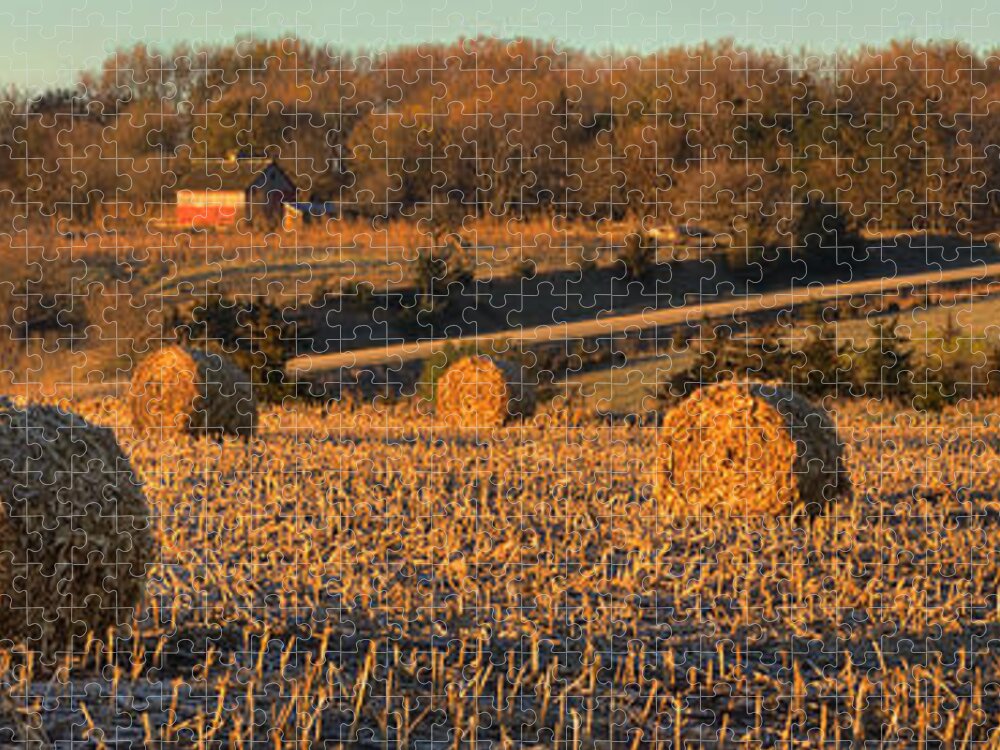 Autumn Jigsaw Puzzle featuring the photograph Autumn Morning Bales by Bruce Morrison
