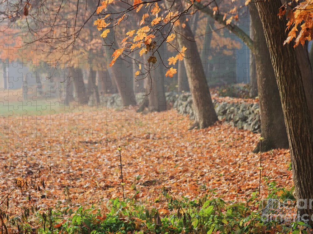 Autumn Jigsaw Puzzle featuring the photograph Autumn Morning Fog by Jayne Carney