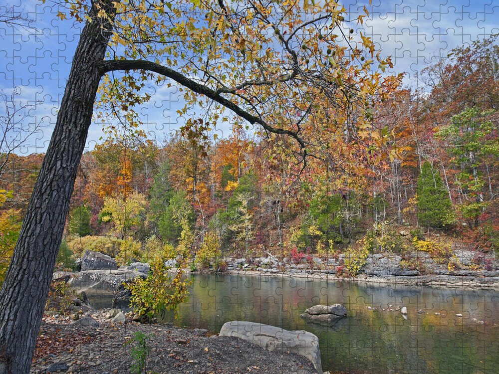 Tim Fitzharris Jigsaw Puzzle featuring the photograph Autumn Oak And Hickory Forest by Tim Fitzharris