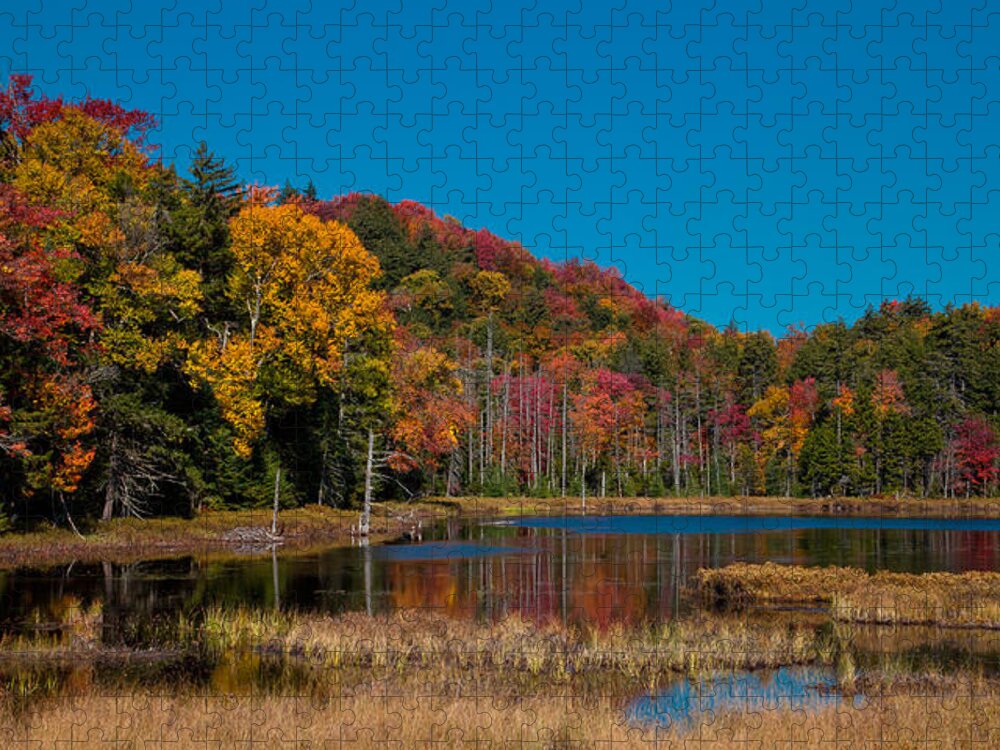 Adirondack's Jigsaw Puzzle featuring the photograph Autumn on Fly Pond by David Patterson