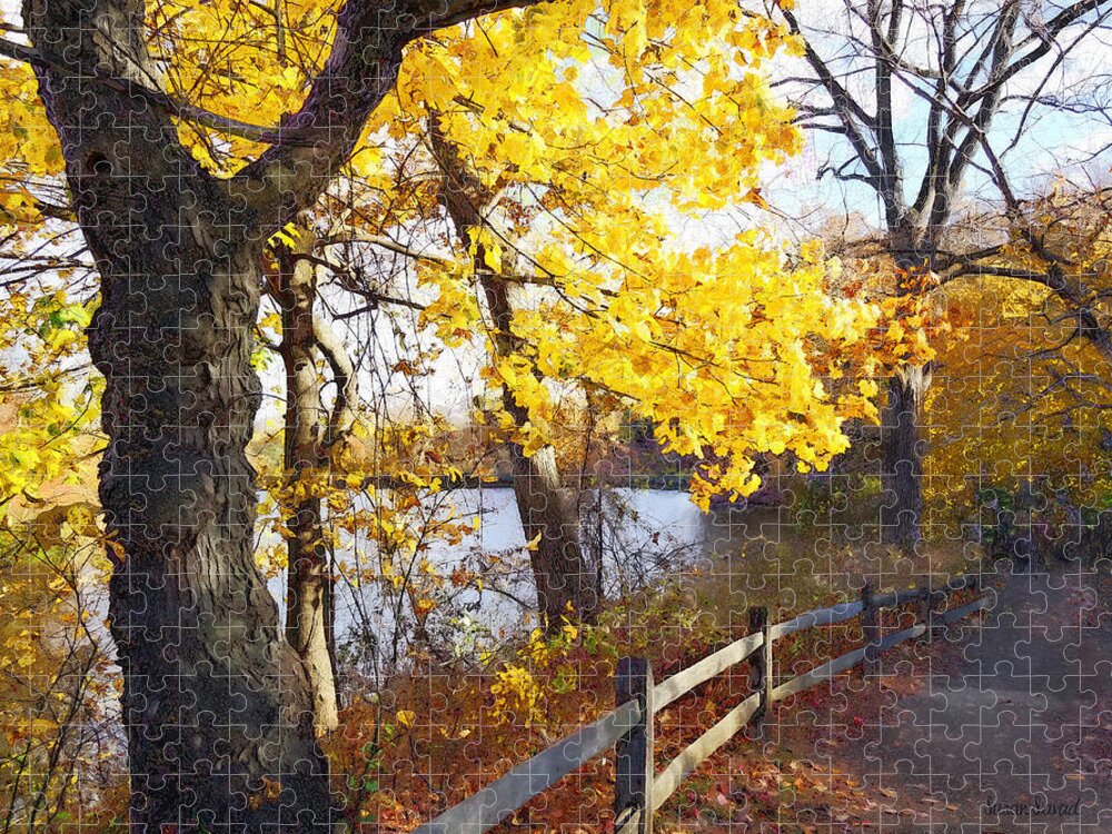 Autumn Jigsaw Puzzle featuring the photograph Autumn Path in the Park by Susan Savad