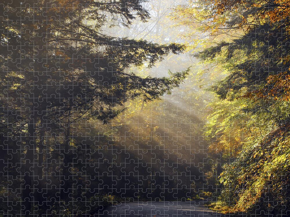 Fall Jigsaw Puzzle featuring the photograph Autumn Rays by Mark Papke