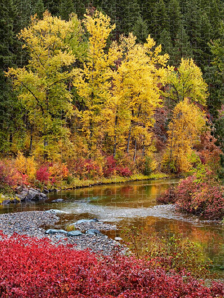 Montana Jigsaw Puzzle featuring the photograph Autumn River by Mary Jo Allen