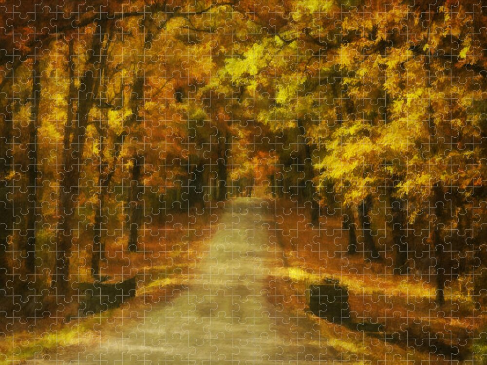 Autumn Jigsaw Puzzle featuring the photograph Autumn Road by Mick Burkey