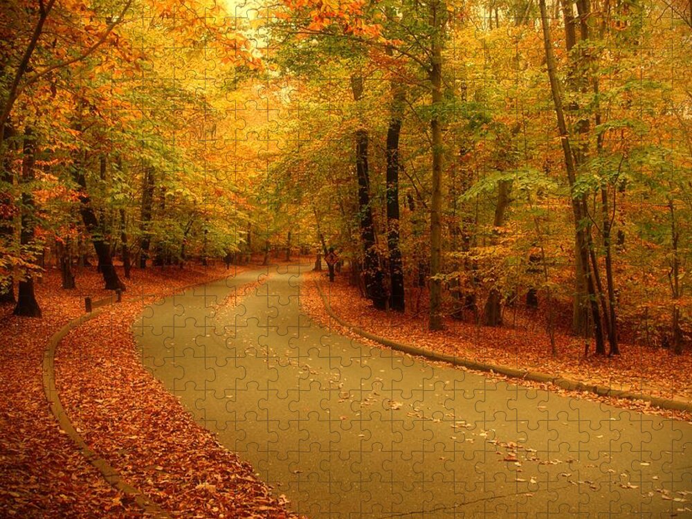 Autumn Landscapes Jigsaw Puzzle featuring the photograph Autumn Serenity - Holmdel Park by Angie Tirado