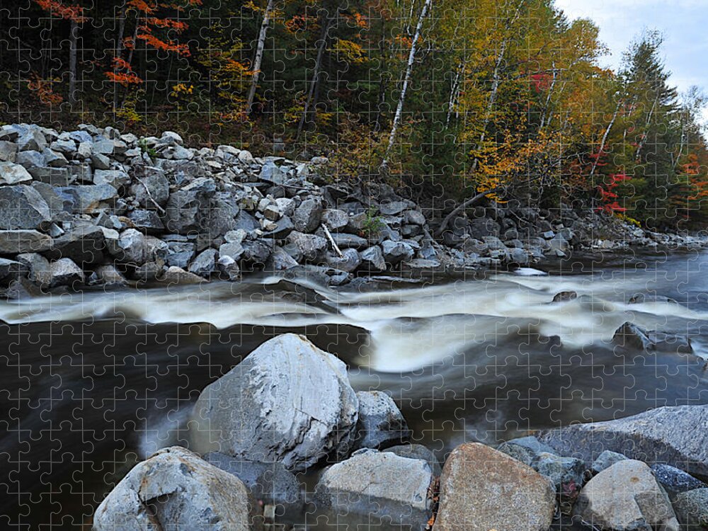 Photo Jigsaw Puzzle featuring the photograph Autumn Silk by Richard Gehlbach