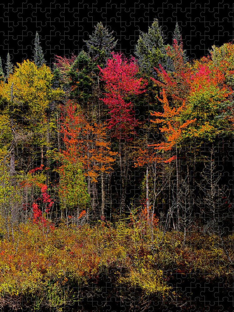 David Patterson Jigsaw Puzzle featuring the photograph Autumn Splendor in the Adirondacks by David Patterson