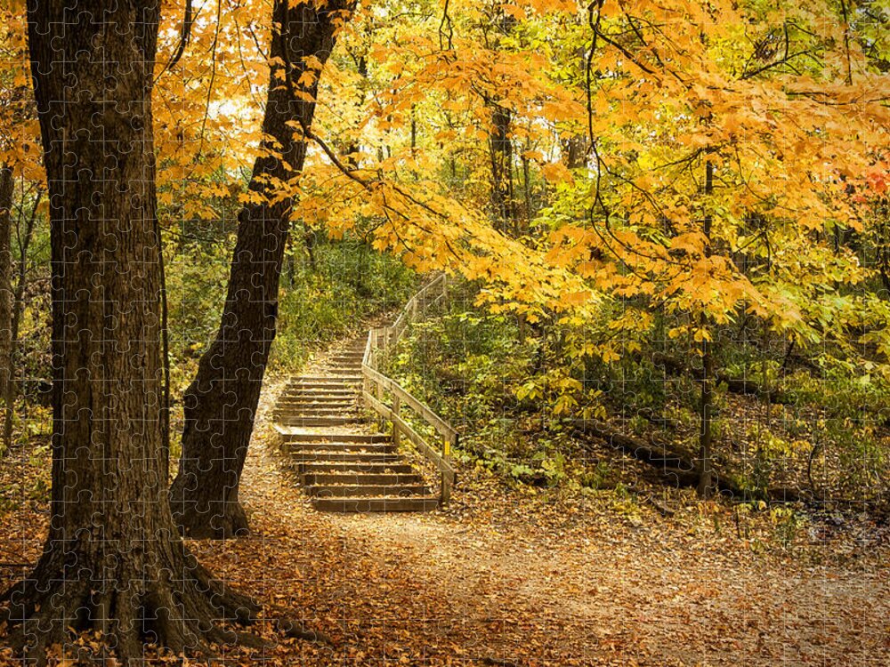 Autumn Jigsaw Puzzle featuring the photograph Autumn Stairs by Scott Norris