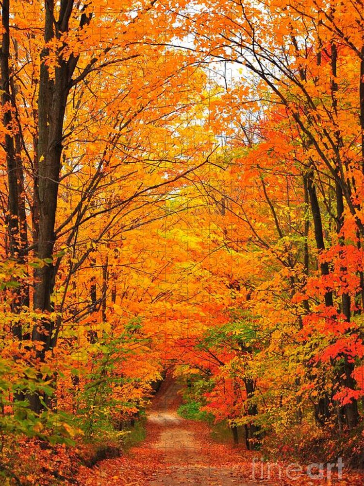 Autumn Jigsaw Puzzle featuring the photograph Autumn Tunnel of Trees by Terri Gostola