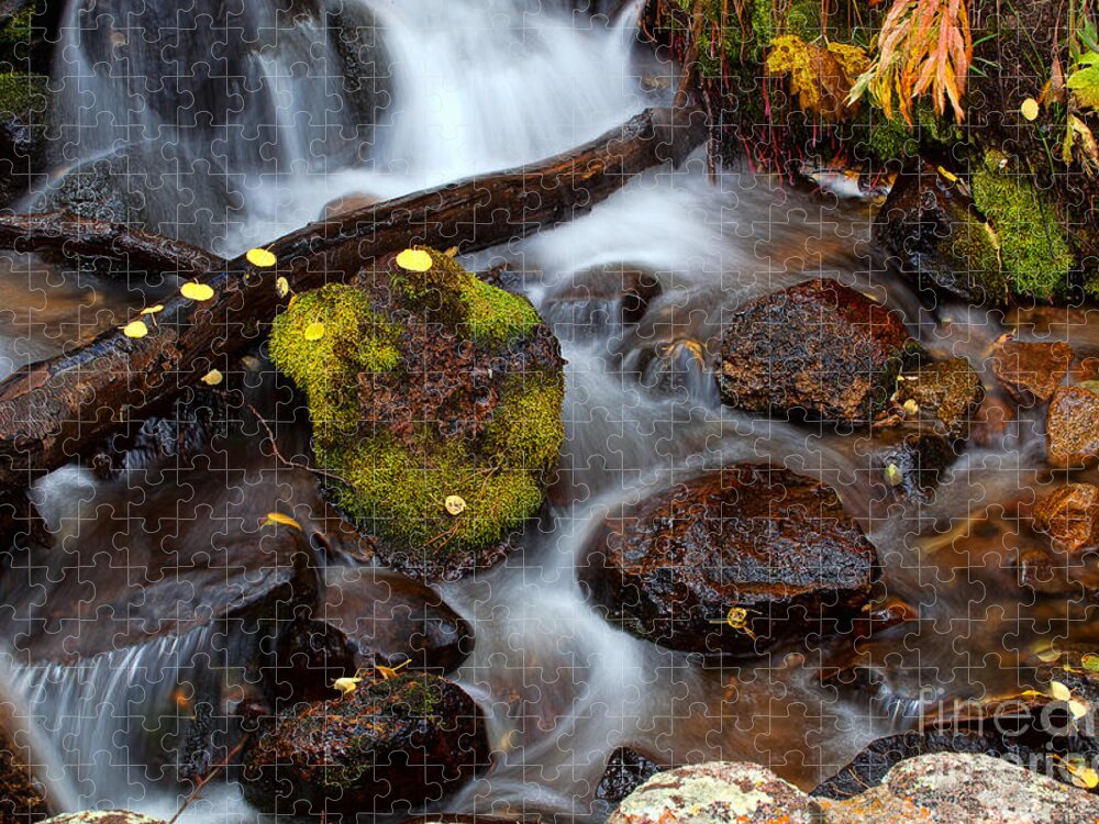 Autumn Colors Jigsaw Puzzle featuring the photograph Autumn's Flow by Jim Garrison