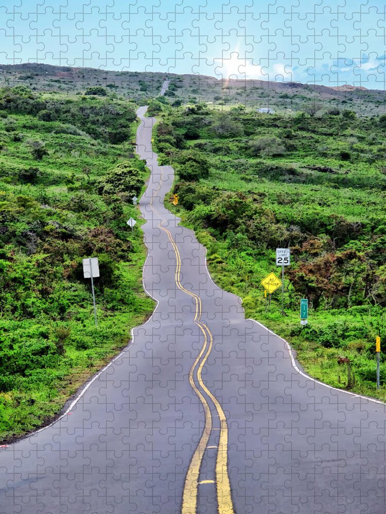Road Jigsaw Puzzle featuring the photograph Back Road to Hana 24 by Dawn Eshelman
