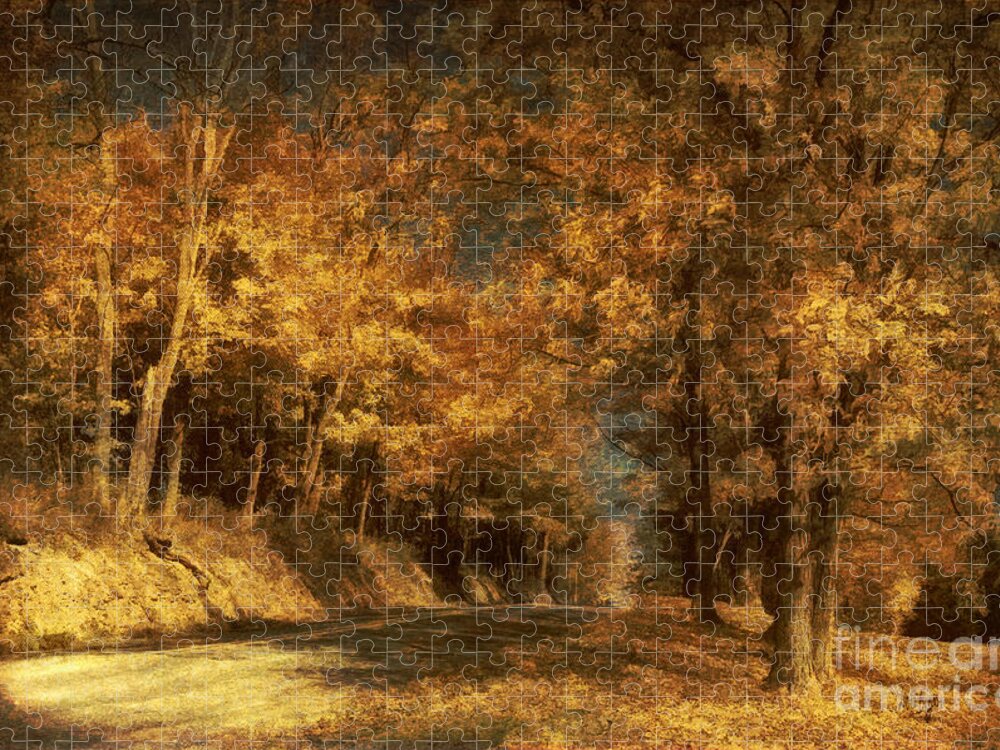Road Jigsaw Puzzle featuring the photograph Back Roads by Lois Bryan