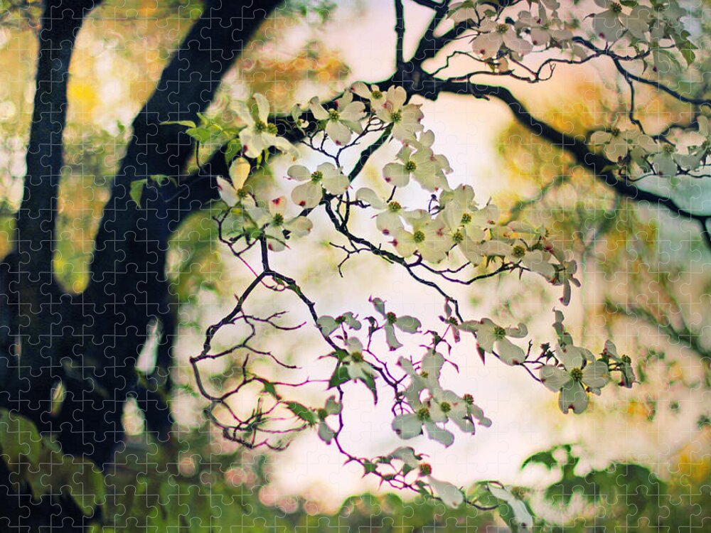 Dogwood Jigsaw Puzzle featuring the photograph Backlit Blossom by Jessica Jenney
