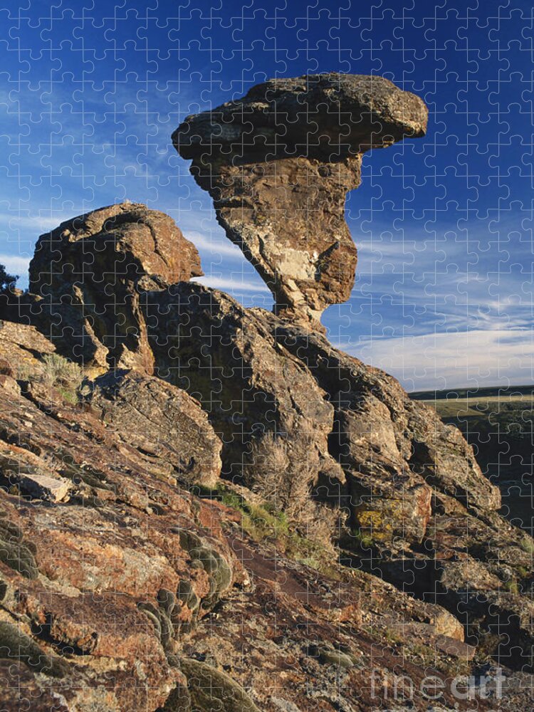 Balanced Rock Jigsaw Puzzle featuring the photograph Balanced Rock, Idaho by William H. Mullins
