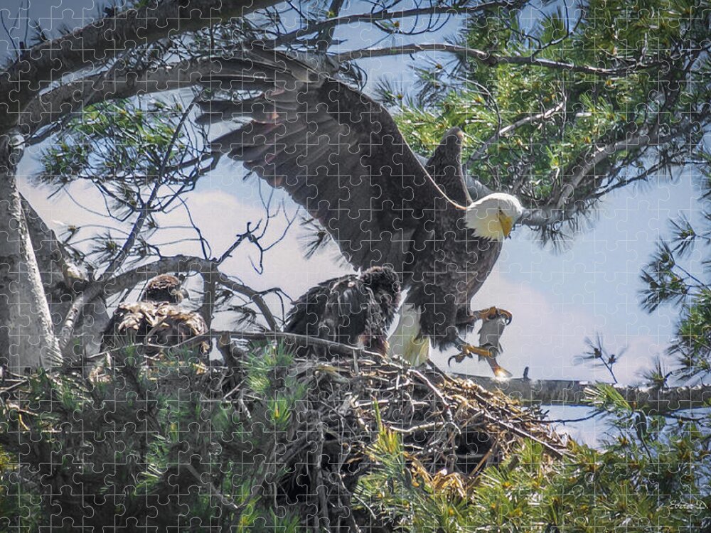 Bald Eagle Jigsaw Puzzle featuring the photograph Bald Eagle with Eaglets and fish by Everet Regal