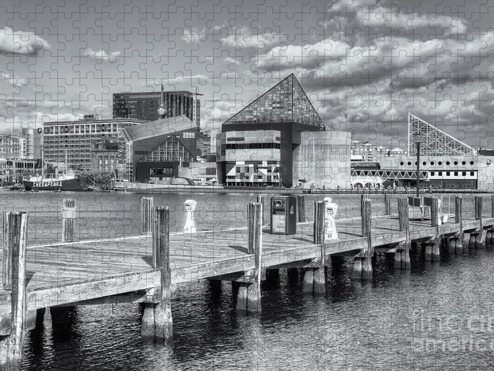Clarence Holmes Jigsaw Puzzle featuring the photograph Baltimore Inner Harbor Skyline VI by Clarence Holmes