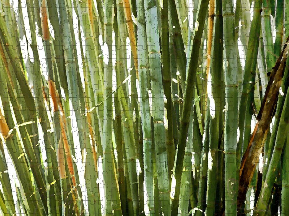 Bamboo Jigsaw Puzzle featuring the photograph Bamboo Abstract by Rich Franco