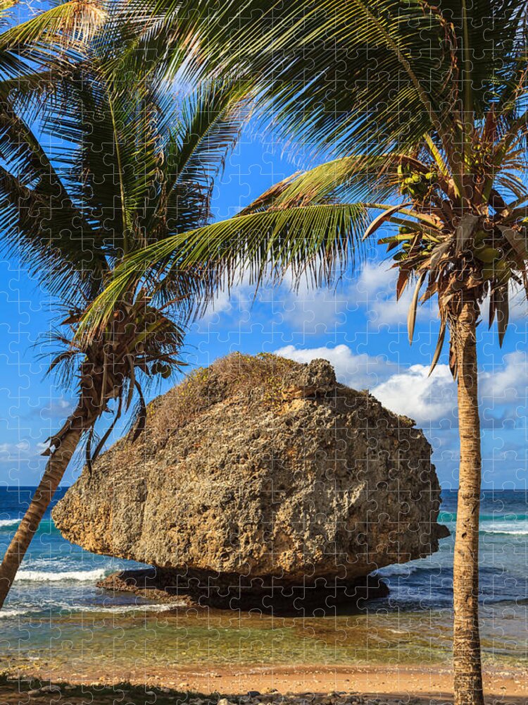 Barbados Jigsaw Puzzle featuring the photograph Barbados Beach by Raul Rodriguez