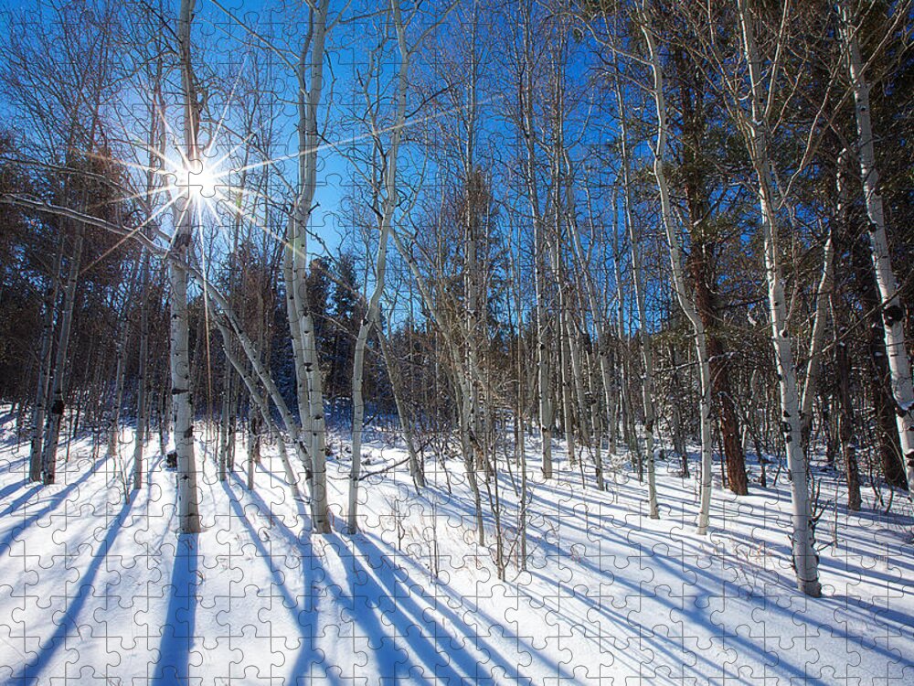 Winter Jigsaw Puzzle featuring the photograph Bare Aspens by Darren White