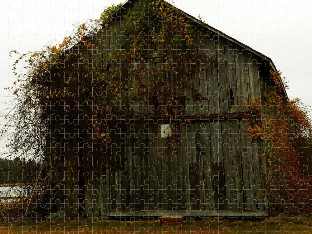 Fall Jigsaw Puzzle featuring the photograph Barn by Andrea Anderegg