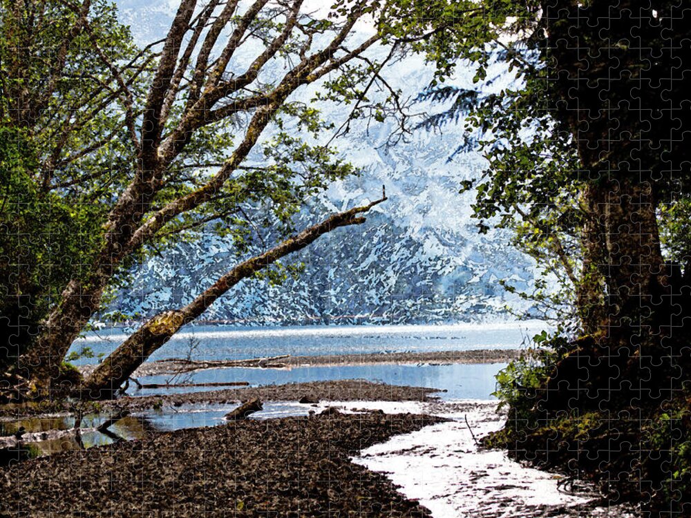Creeks Jigsaw Puzzle featuring the photograph Barnes Creek at Lake Crescent - Washington by Marie Jamieson