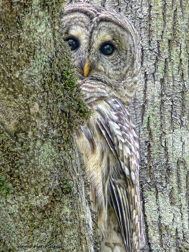 Owl Jigsaw Puzzle featuring the photograph Barred Owl Peek a Boo by Jennie Marie Schell