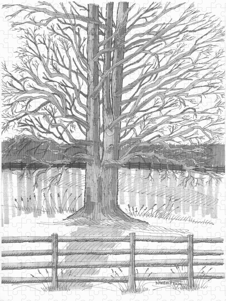 Landscape Jigsaw Puzzle featuring the drawing Barrytown Tree by Richard Wambach
