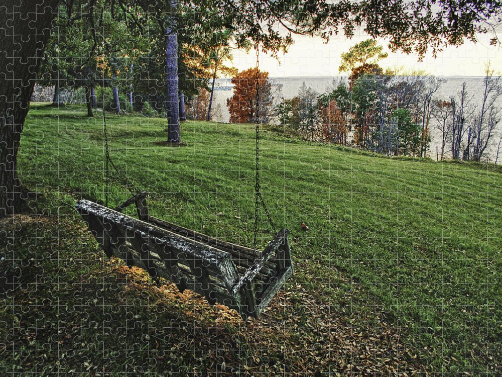 Palm Jigsaw Puzzle featuring the digital art Bayview Swing on a August Day by Michael Thomas