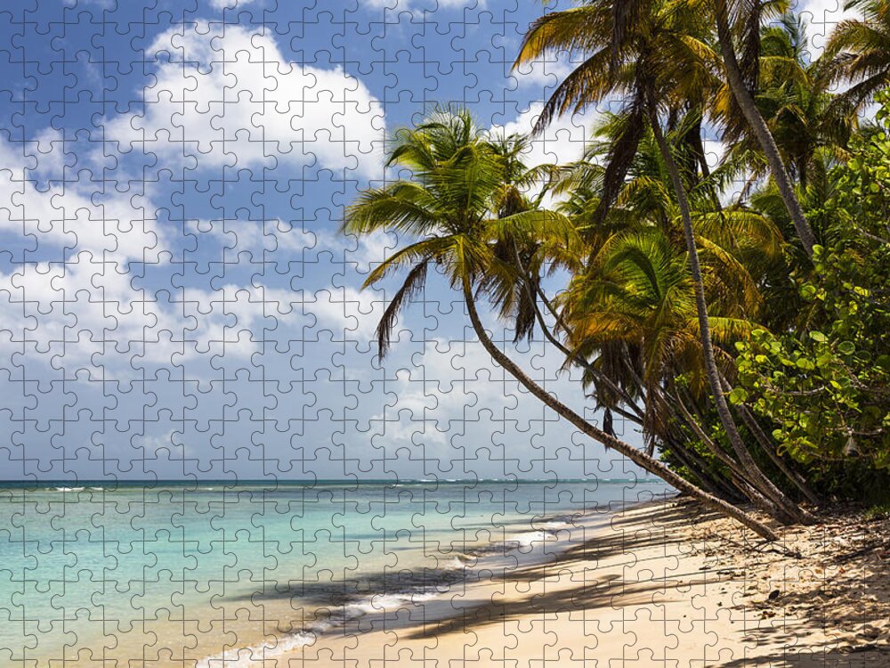Konrad Wothe Jigsaw Puzzle featuring the photograph Beach Pigeon Point Tobago West Indies by Konrad Wothe