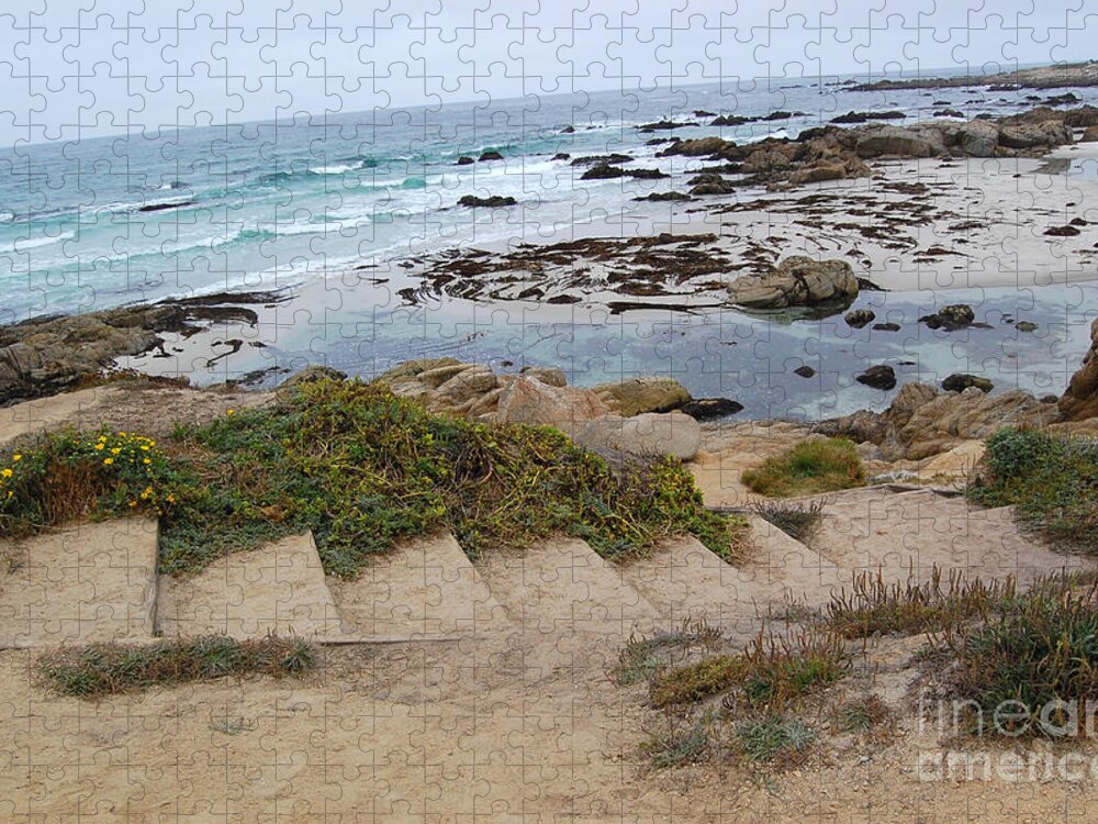 Beach Jigsaw Puzzle featuring the photograph Descending to the Beach Monterey by Debra Thompson