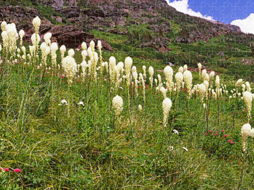 Photography Jigsaw Puzzle featuring the photograph Beargrass Xerophyllum Tenax by Panoramic Images