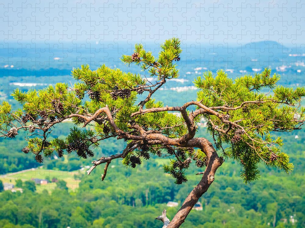 Aerial Jigsaw Puzzle featuring the photograph Beautiful Aerial Landscape Views From Crowders Mountain North Ca by Alex Grichenko