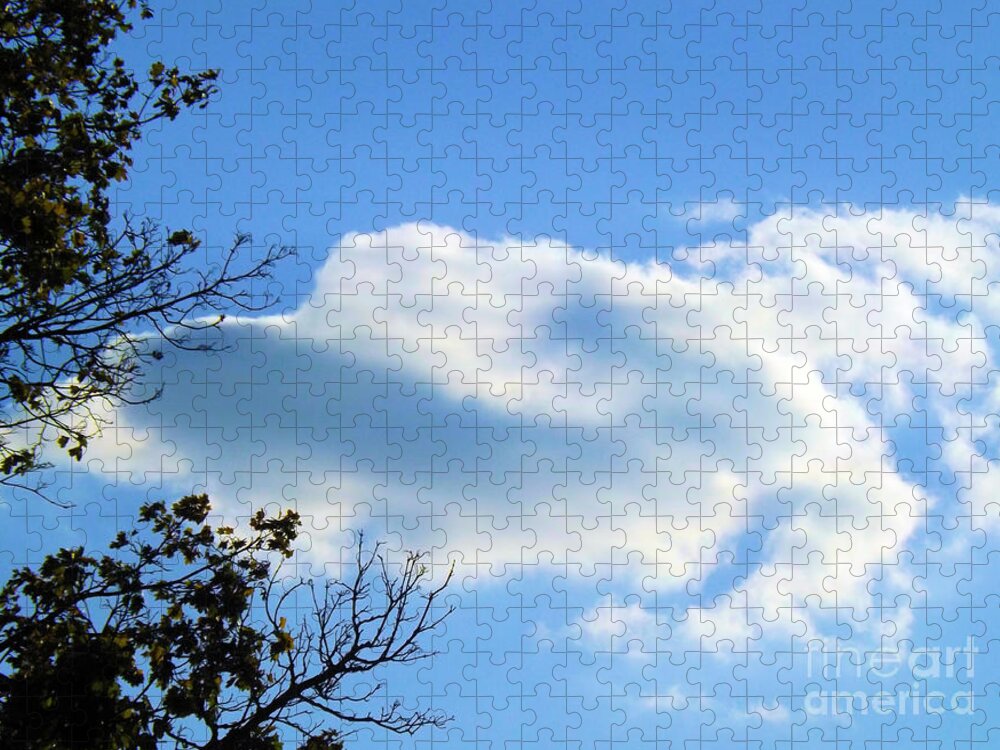 Sky Jigsaw Puzzle featuring the photograph Beautiful Day by Robyn King