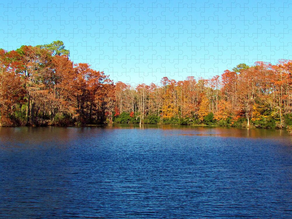 Water Jigsaw Puzzle featuring the photograph Beautiful Lake by Cynthia Guinn