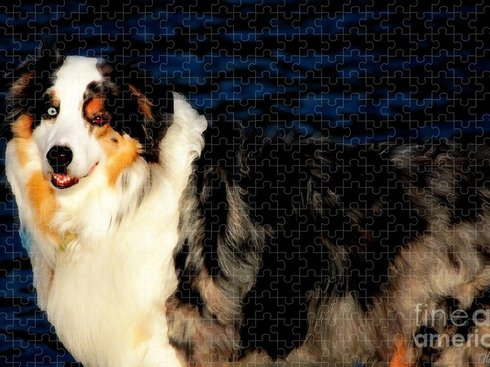 Australian Shepherd Jigsaw Puzzle featuring the photograph Beautiful Rex by Ola Allen