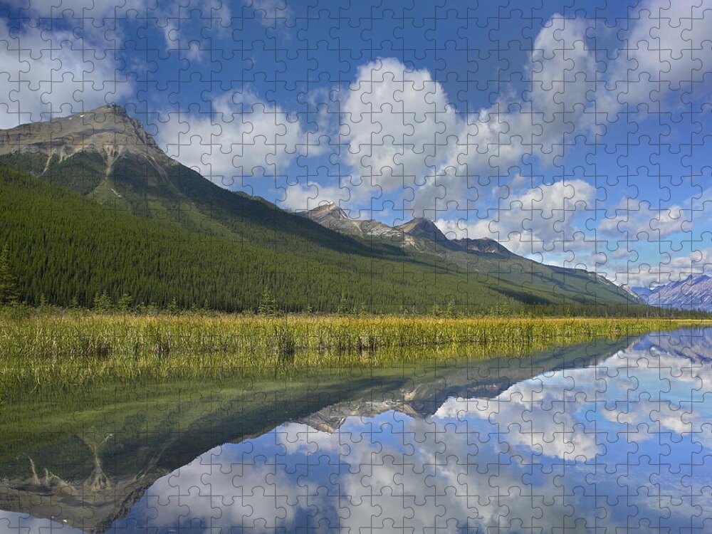 Feb0514 Jigsaw Puzzle featuring the photograph Beauty Creek Jasper Np Alberta Canada by Tim Fitzharris