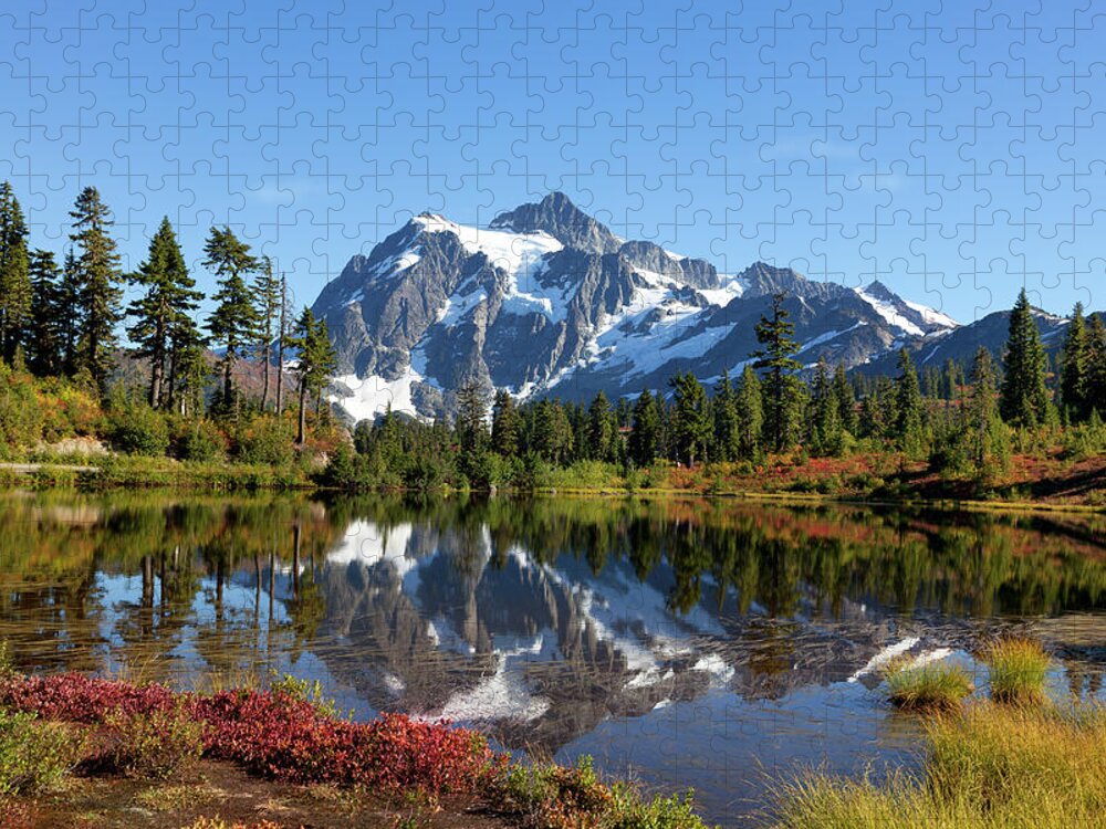 Grass Jigsaw Puzzle featuring the photograph Beauty In Nature by Kingwu