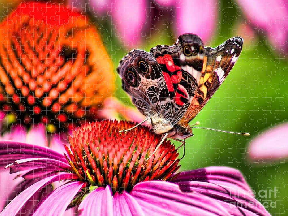 Animal Jigsaw Puzzle featuring the photograph Beauty of a Butterfly by Nick Zelinsky Jr