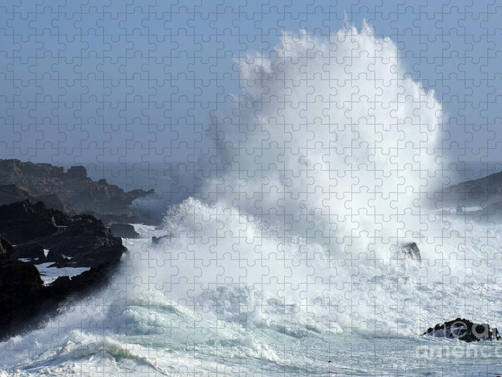 California Coast Jigsaw Puzzle featuring the photograph Beauty Of California Salt Point Wave Action by Bob Christopher
